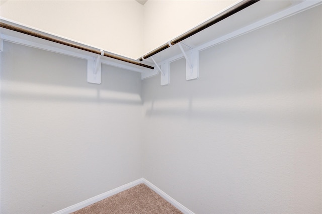 walk in closet with carpet flooring