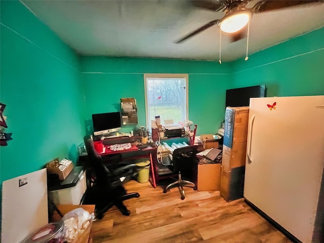 office featuring ceiling fan and hardwood / wood-style floors