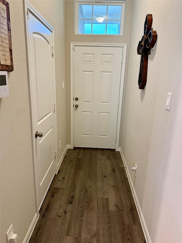 doorway to outside with dark hardwood / wood-style floors