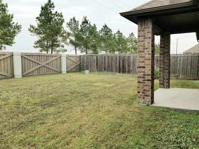 view of yard featuring a patio area