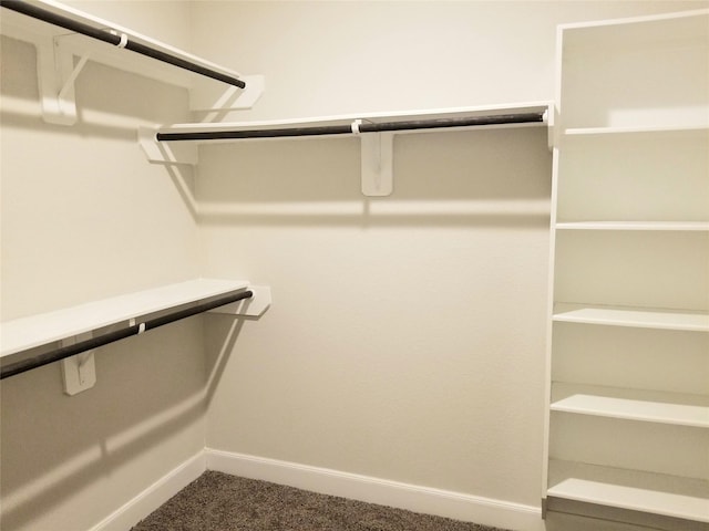 spacious closet with carpet