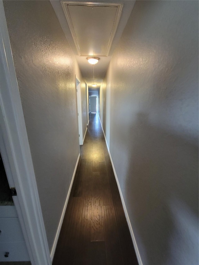 hallway featuring dark hardwood / wood-style flooring