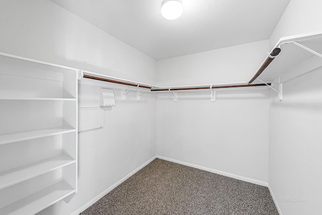 spacious closet with carpet