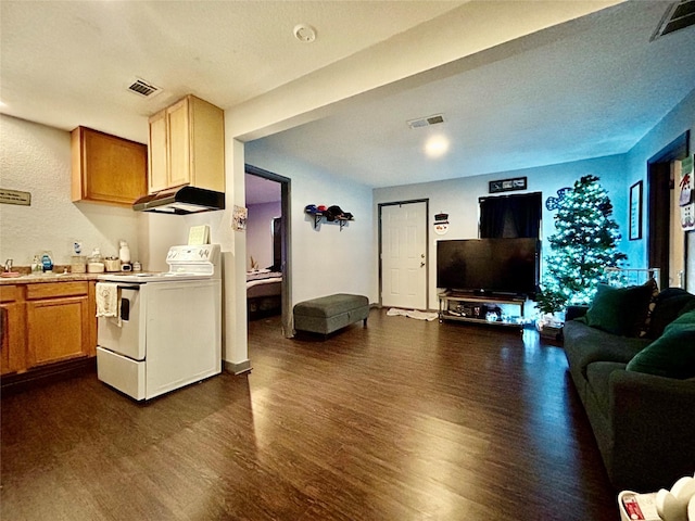 kitchen with electric stove and dark wood-type flooring