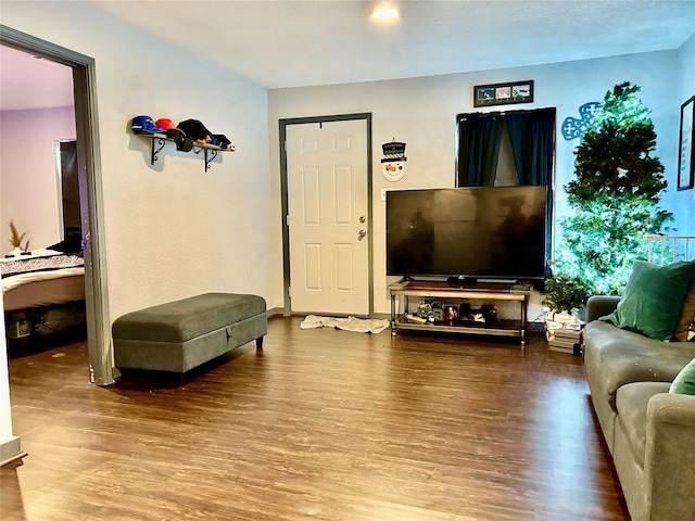 living room with wood finished floors