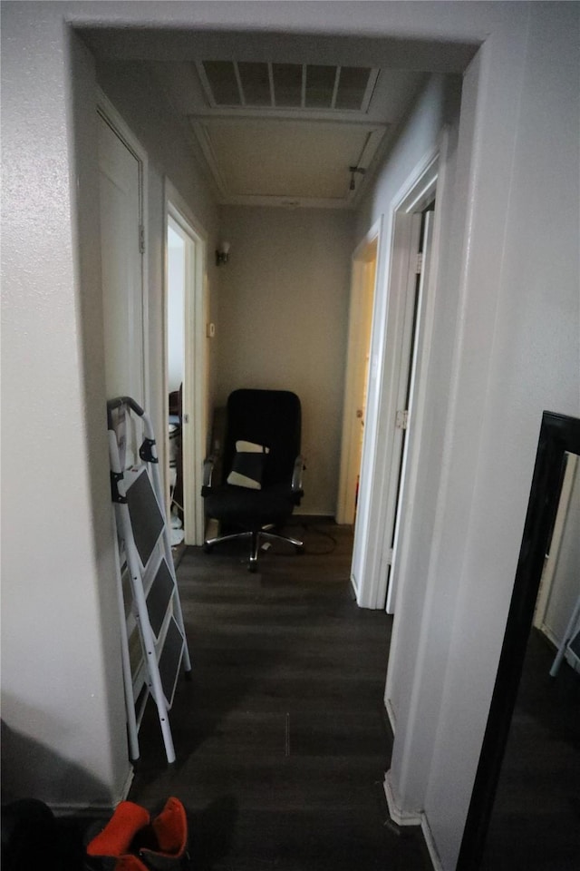 hallway featuring dark wood-type flooring