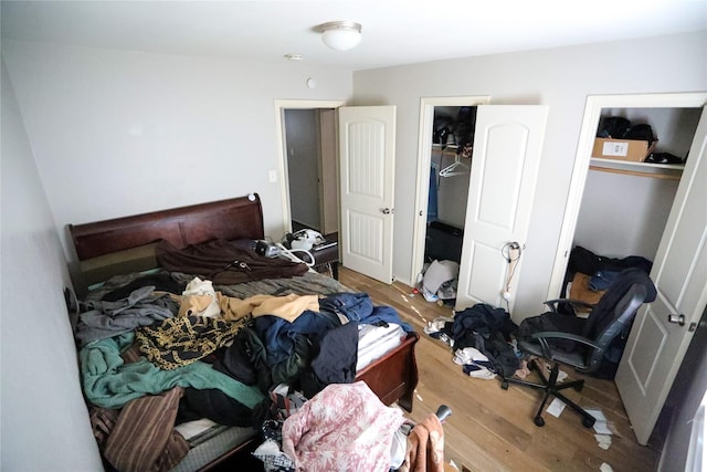 bedroom featuring a spacious closet, a closet, and wood-type flooring