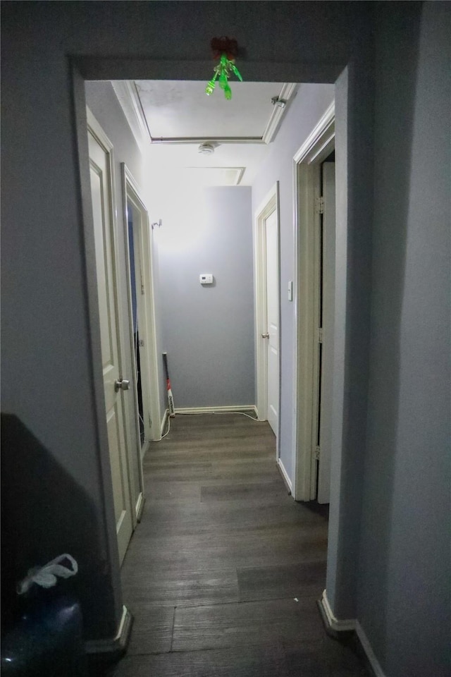 corridor with dark hardwood / wood-style floors