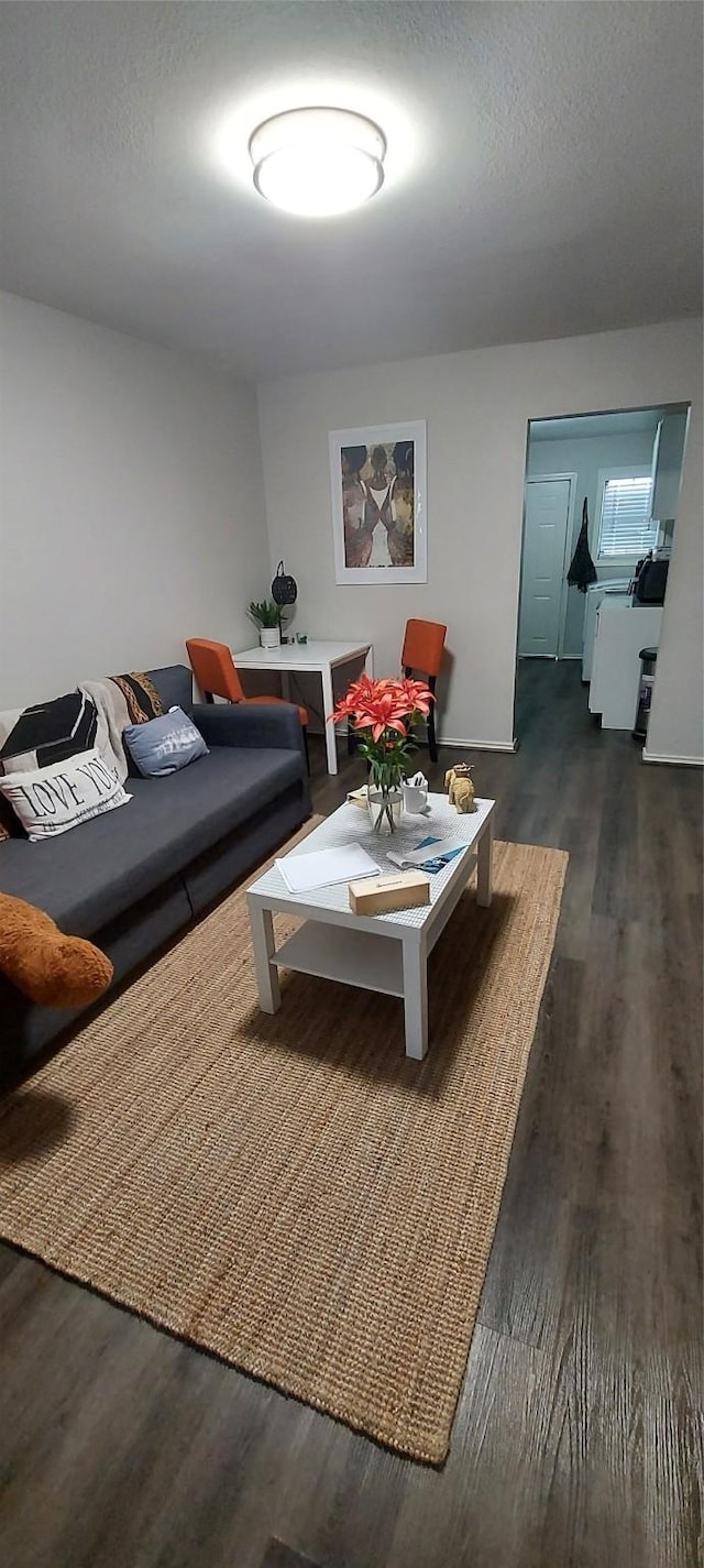 living room featuring dark hardwood / wood-style flooring