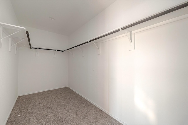 spacious closet with carpet flooring