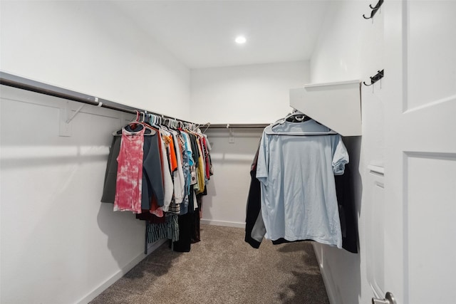 spacious closet with light carpet