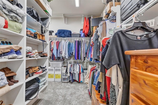 walk in closet with light carpet