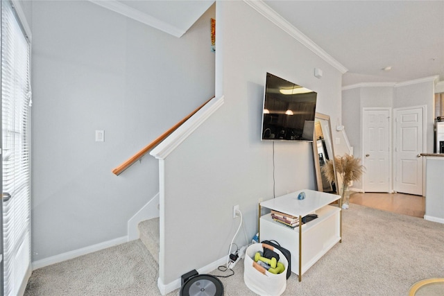 interior space with carpet and crown molding