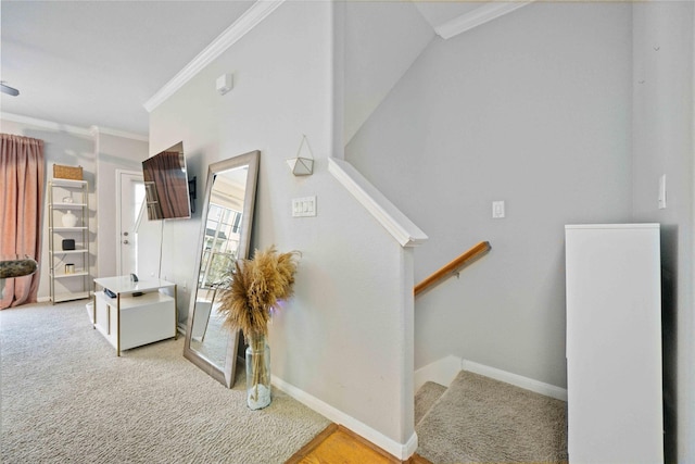 stairway featuring carpet floors and crown molding