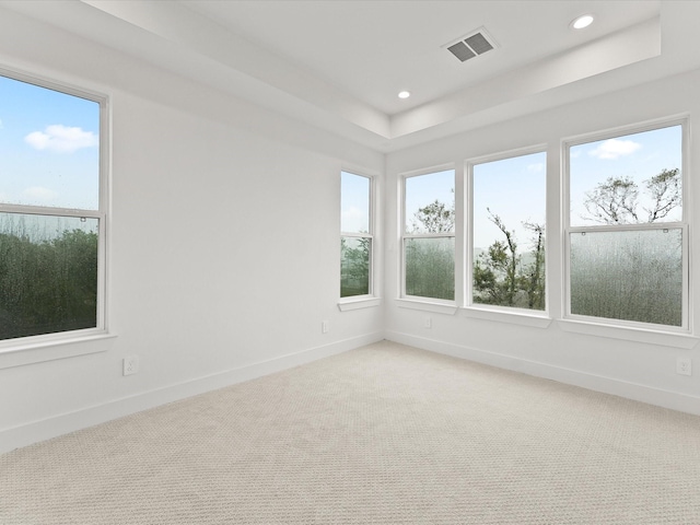 carpeted empty room featuring a tray ceiling and a wealth of natural light