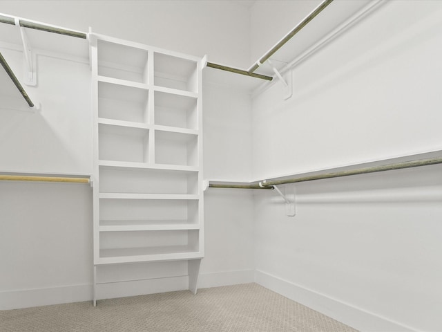 spacious closet featuring carpet floors