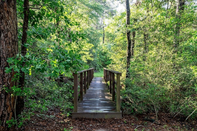 228 Feldspar Ln, Huntsville, TX 77340 - view of home's community featuring a wooded view