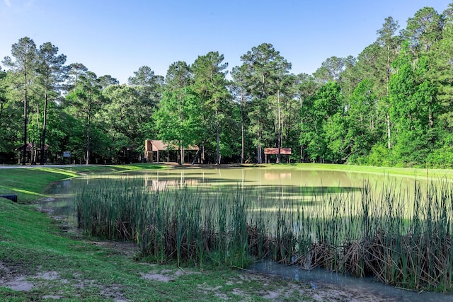 228 Feldspar Ln, Huntsville, TX 77340 - view of yard with a water view