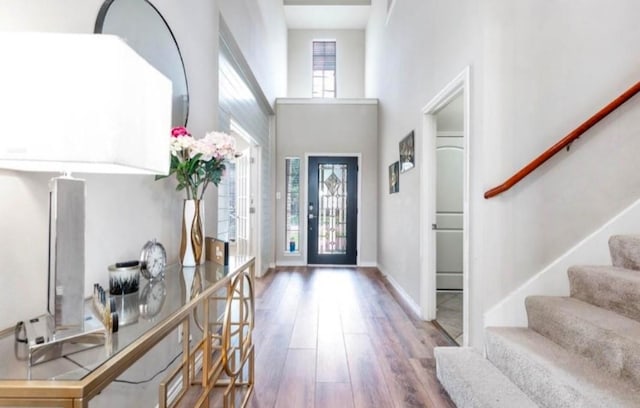 foyer entrance with a high ceiling and hardwood / wood-style flooring