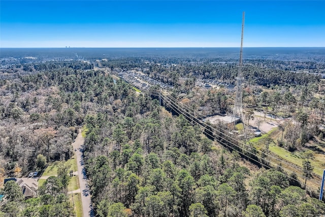 5431 Pine Springs Ct, Conroe, TX 77304