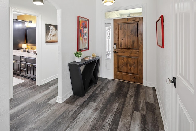 entrance foyer with dark hardwood / wood-style floors and sink