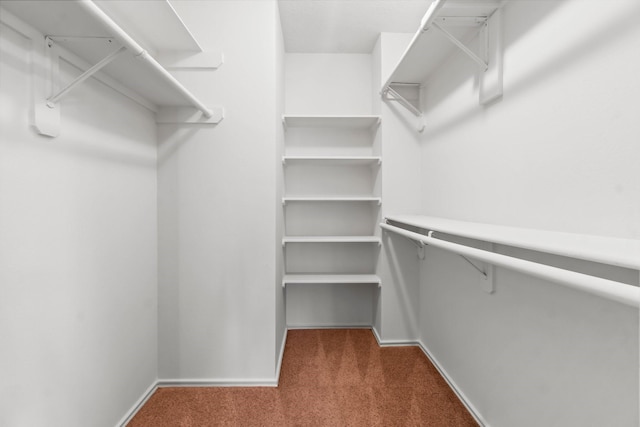 spacious closet with carpet