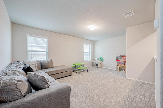 living room with carpet flooring and a textured ceiling