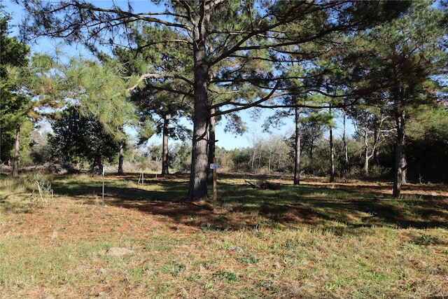 20792 Pearl St, Prairie View TX, 77484 land for sale