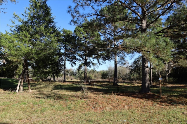 Listing photo 2 for 20792 Pearl St, Prairie View TX 77484