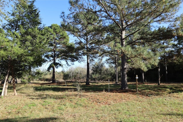 Listing photo 3 for 20792 Pearl St, Prairie View TX 77484