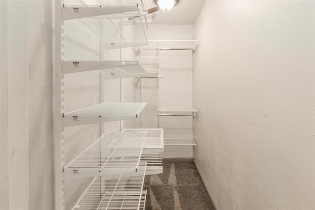 spacious closet with carpet