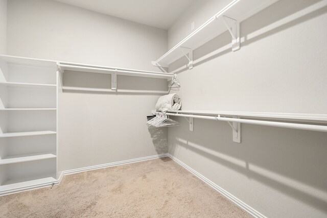 spacious closet with carpet flooring