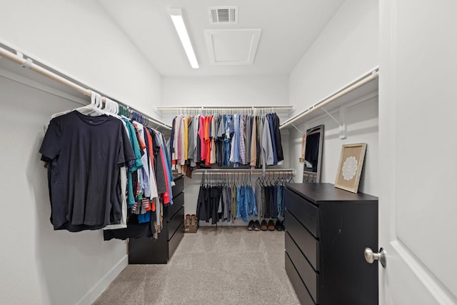 spacious closet featuring light colored carpet