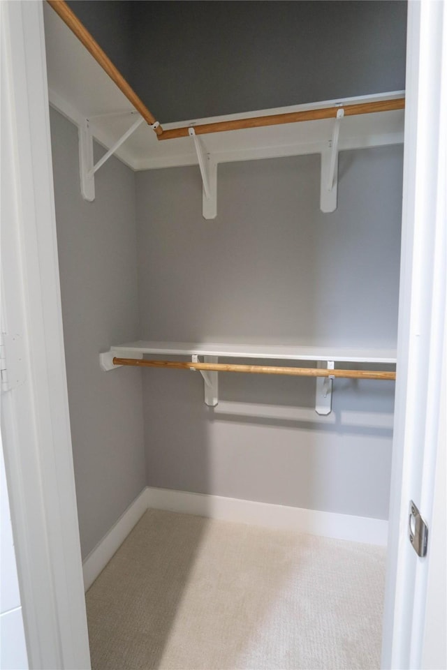 spacious closet with carpet flooring