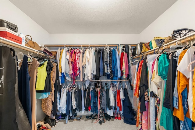 spacious closet with carpet floors