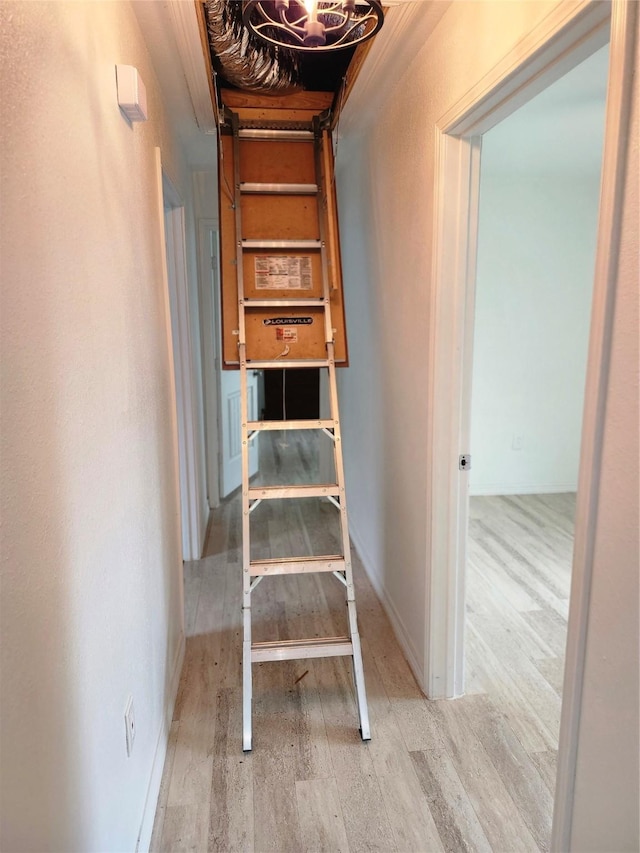 stairs with hardwood / wood-style floors