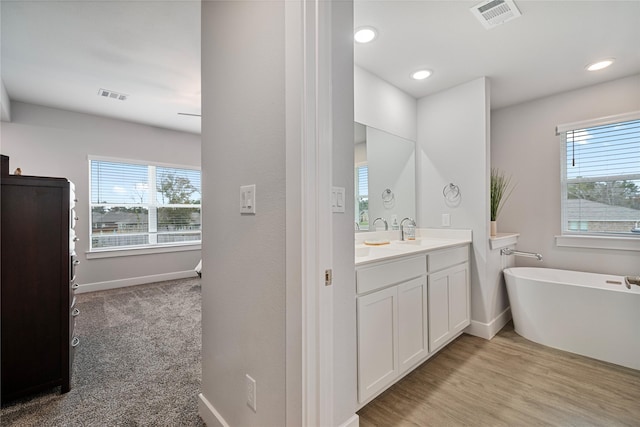 bathroom with a wealth of natural light, a washtub, and vanity