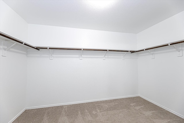 walk in closet with light carpet