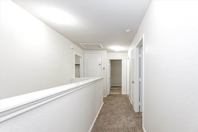 hall featuring a textured ceiling and carpet floors