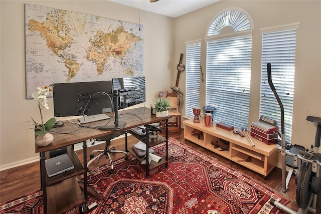 home office featuring hardwood / wood-style flooring