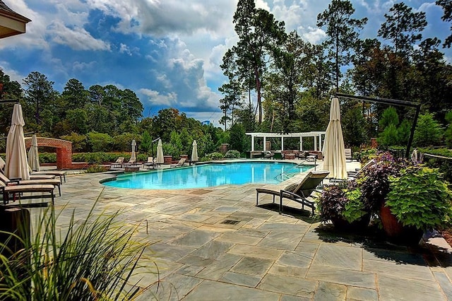 view of swimming pool featuring a pergola and a patio area