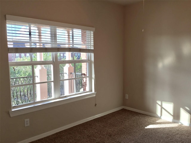 spare room featuring carpet floors