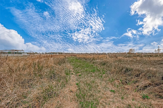 view of local wilderness with a rural view