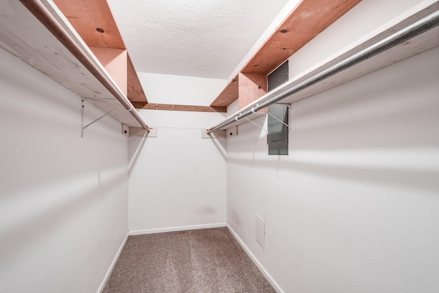 walk in closet with carpet floors