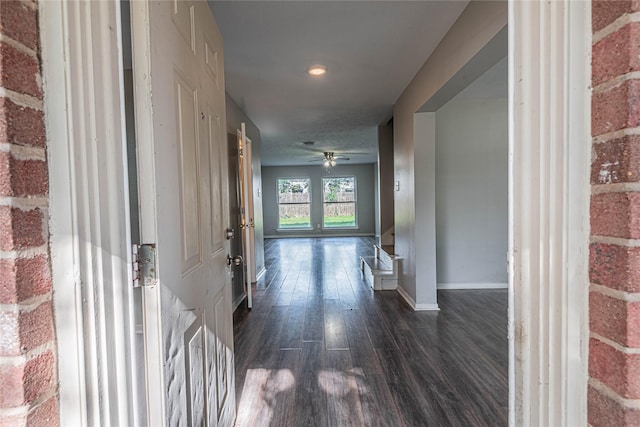 corridor featuring dark hardwood / wood-style flooring