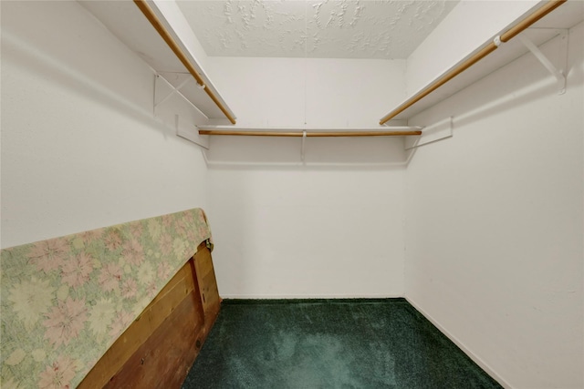 spacious closet with carpet floors