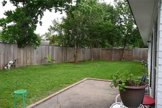 view of yard with a patio area