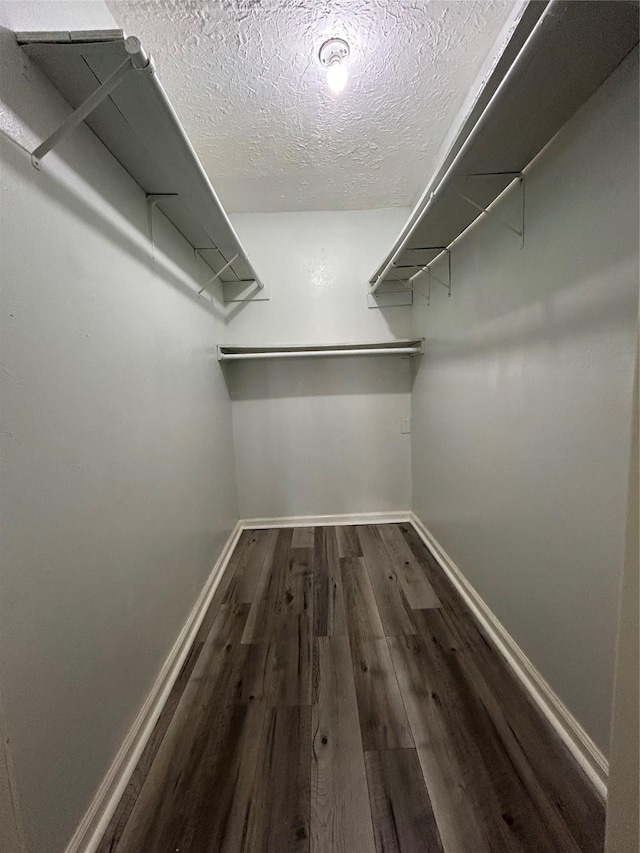 walk in closet featuring hardwood / wood-style floors