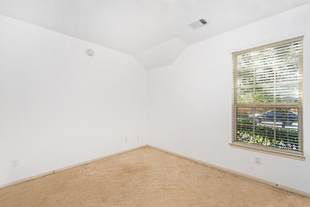 spare room featuring carpet, a wealth of natural light, and lofted ceiling