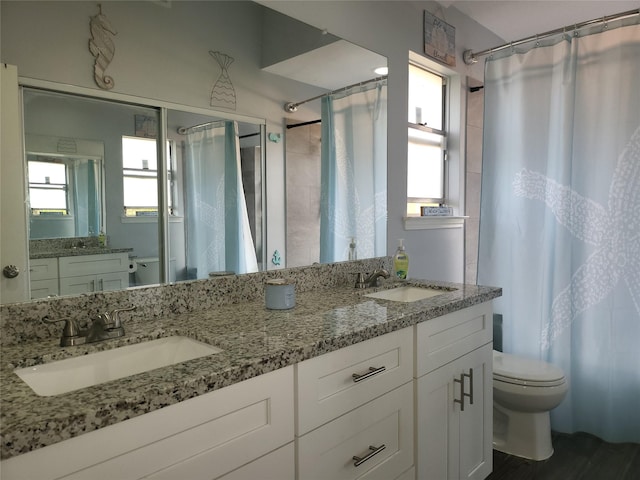 bathroom with vanity, curtained shower, and toilet